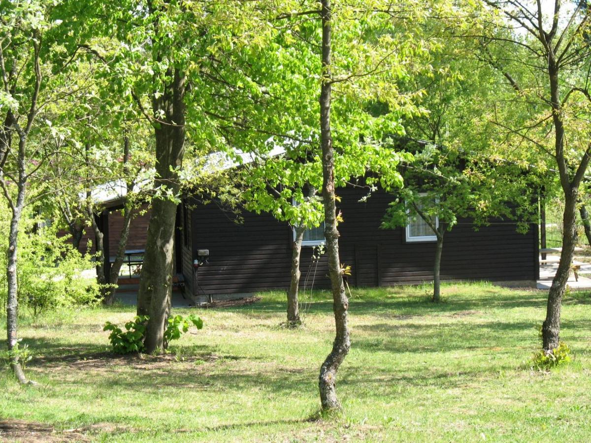 Osrodek Szeligi Hotel Ełk Exterior foto